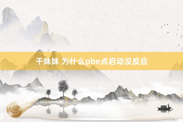 干妹妹 为什么pbe点启动没反应