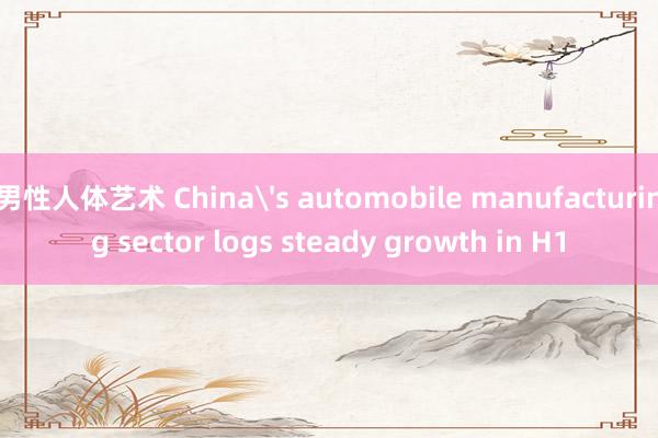 男性人体艺术 China's automobile manufacturing sector logs steady growth in H1