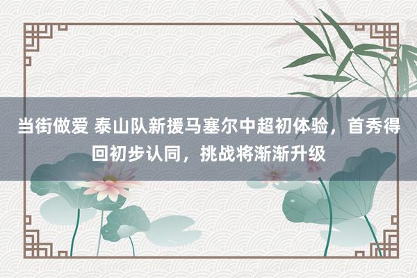 当街做爱 泰山队新援马塞尔中超初体验，首秀得回初步认同，挑战将渐渐升级