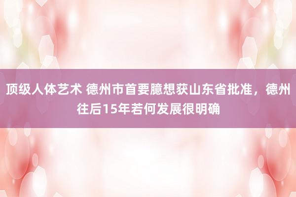 顶级人体艺术 德州市首要臆想获山东省批准，德州往后15年若何发展很明确