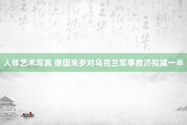 人体艺术写真 德国来岁对乌克兰军事救济拟减一半