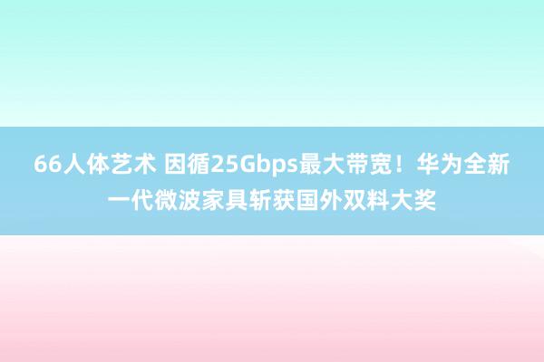 66人体艺术 因循25Gbps最大带宽！华为全新一代微波家具斩获国外双料大奖