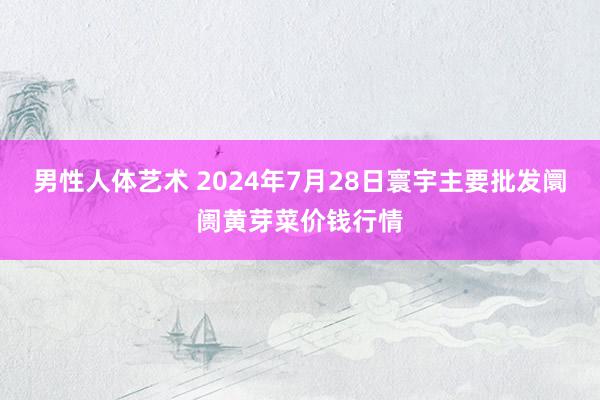 男性人体艺术 2024年7月28日寰宇主要批发阛阓黄芽菜价钱行情