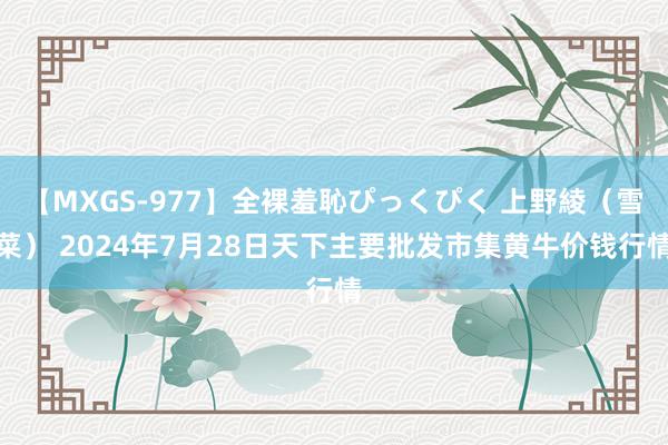 【MXGS-977】全裸羞恥ぴっくぴく 上野綾（雪菜） 2024年7月28日天下主要批发市集黄牛价钱行情