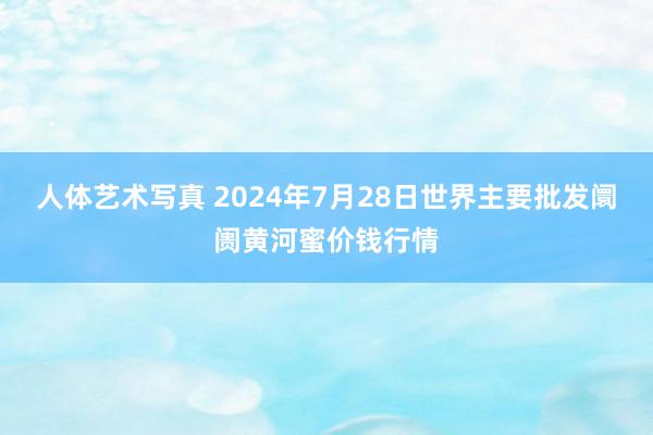 人体艺术写真 2024年7月28日世界主要批发阛阓黄河蜜价钱行情