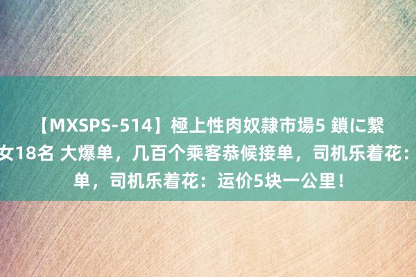 【MXSPS-514】極上性肉奴隷市場5 鎖に繋がれた囚われの女18名 大爆单，几百个乘客恭候接单，司机乐着花：运价5块一公里！