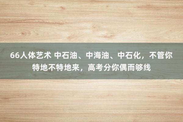 66人体艺术 中石油、中海油、中石化，不管你特地不特地来，高考分你偶而够线