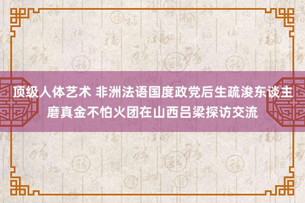 顶级人体艺术 非洲法语国度政党后生疏浚东谈主磨真金不怕火团在山西吕梁探访交流