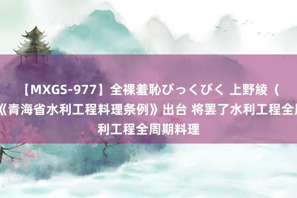 【MXGS-977】全裸羞恥ぴっくぴく 上野綾（雪菜） 《青海省水利工程料理条例》出台 将罢了水利工程全周期料理