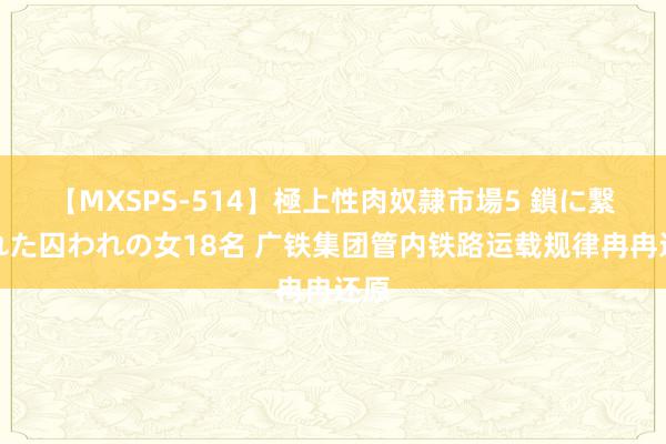 【MXSPS-514】極上性肉奴隷市場5 鎖に繋がれた囚われの女18名 广铁集团管内铁路运载规律冉冉还原