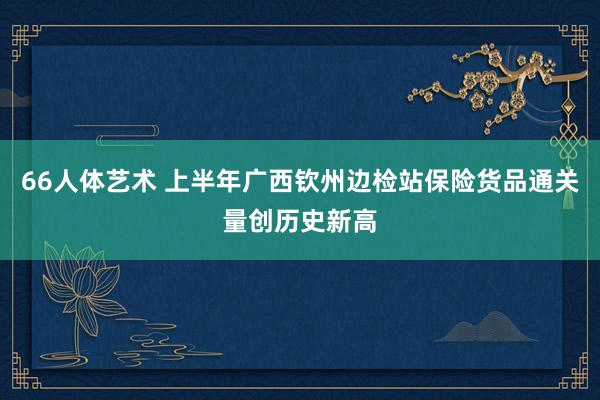 66人体艺术 上半年广西钦州边检站保险货品通关量创历史新高