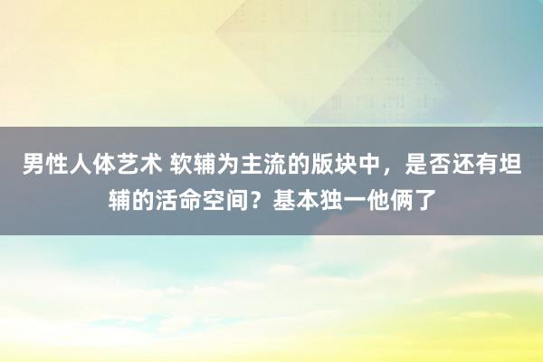 男性人体艺术 软辅为主流的版块中，是否还有坦辅的活命空间？基本独一他俩了