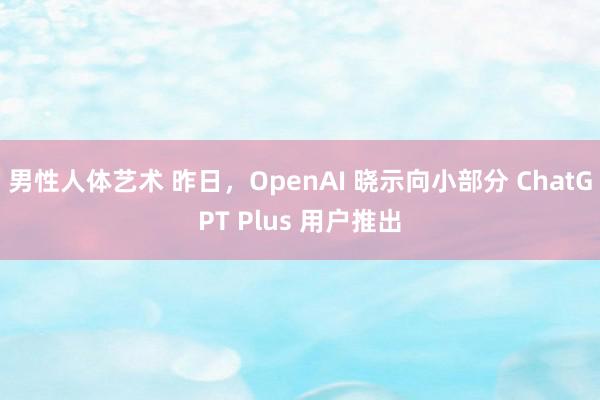 男性人体艺术 昨日，OpenAI 晓示向小部分 ChatGPT Plus 用户推出