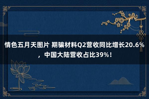 情色五月天图片 期骗材料Q2营收同比增长20.6%，中国大陆营收占比39%！