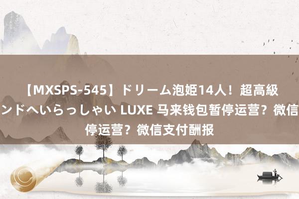 【MXSPS-545】ドリーム泡姫14人！超高級ソープランドへいらっしゃい LUXE 马来钱包暂停运营？微信支付酬报