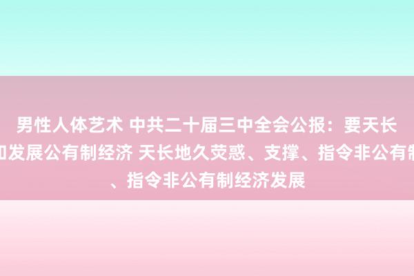 男性人体艺术 中共二十届三中全会公报：要天长地久沉稳和发展公有制经济 天长地久荧惑、支撑、指令非公有制经济发展