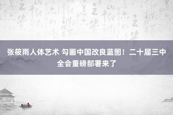 张筱雨人体艺术 勾画中国改良蓝图！二十届三中全会重磅部署来了