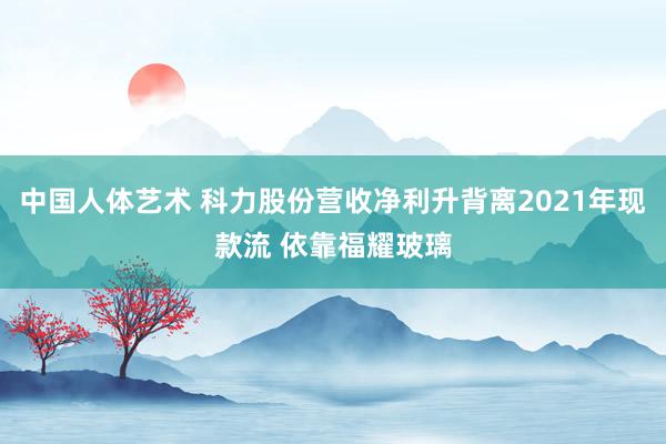 中国人体艺术 科力股份营收净利升背离2021年现款流 依靠福耀玻璃