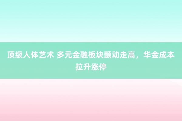 顶级人体艺术 多元金融板块颤动走高，华金成本拉升涨停