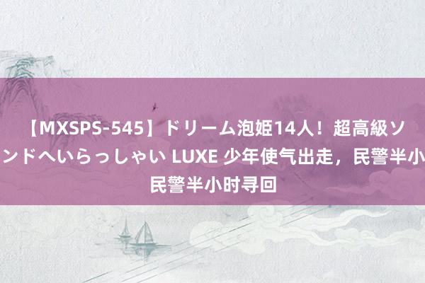 【MXSPS-545】ドリーム泡姫14人！超高級ソープランドへいらっしゃい LUXE 少年使气出走，民警半小时寻回