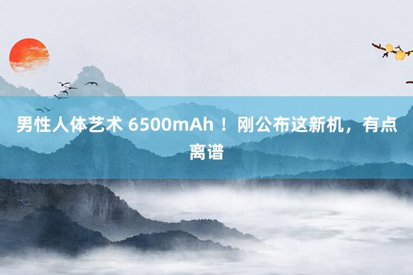 男性人体艺术 6500mAh ！刚公布这新机，有点离谱