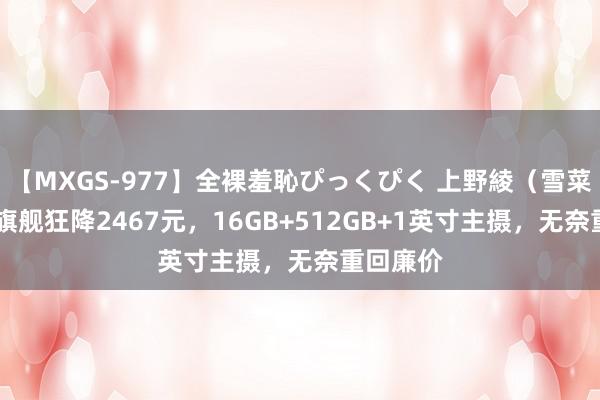 【MXGS-977】全裸羞恥ぴっくぴく 上野綾（雪菜） 小米旗舰狂降2467元，16GB+512GB+1英寸主摄，无奈重回廉价