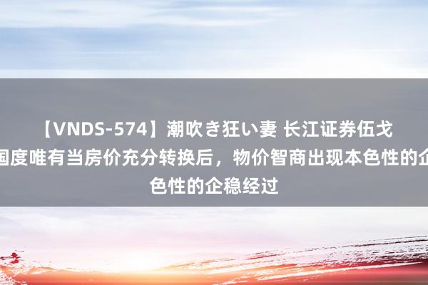 【VNDS-574】潮吹き狂い妻 长江证券伍戈：一个国度唯有当房价充分转换后，物价智商出现本色性的企稳经过