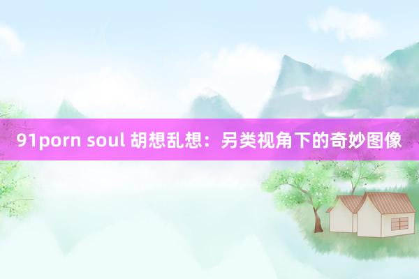 91porn soul 胡想乱想：另类视角下的奇妙图像