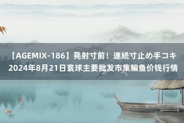 【AGEMIX-186】発射寸前！連続寸止め手コキ 2024年8月21日寰球主要批发市集鳊鱼价钱行情