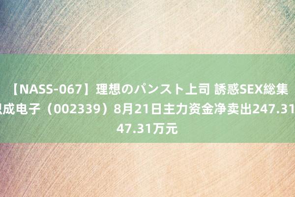 【NASS-067】理想のパンスト上司 誘惑SEX総集編 积成电子（002339）8月21日主力资金净卖出247.31万元