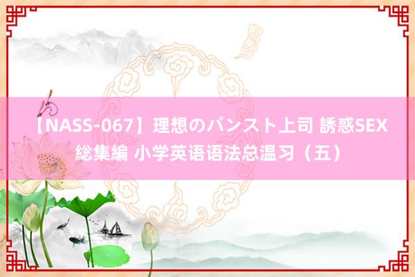 【NASS-067】理想のパンスト上司 誘惑SEX総集編 小学英语语法总温习（五）