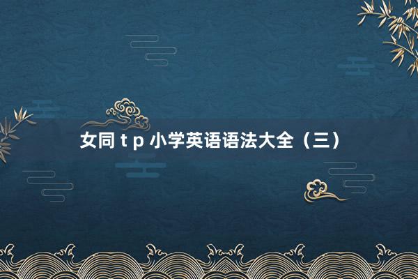 女同 t p 小学英语语法大全（三）